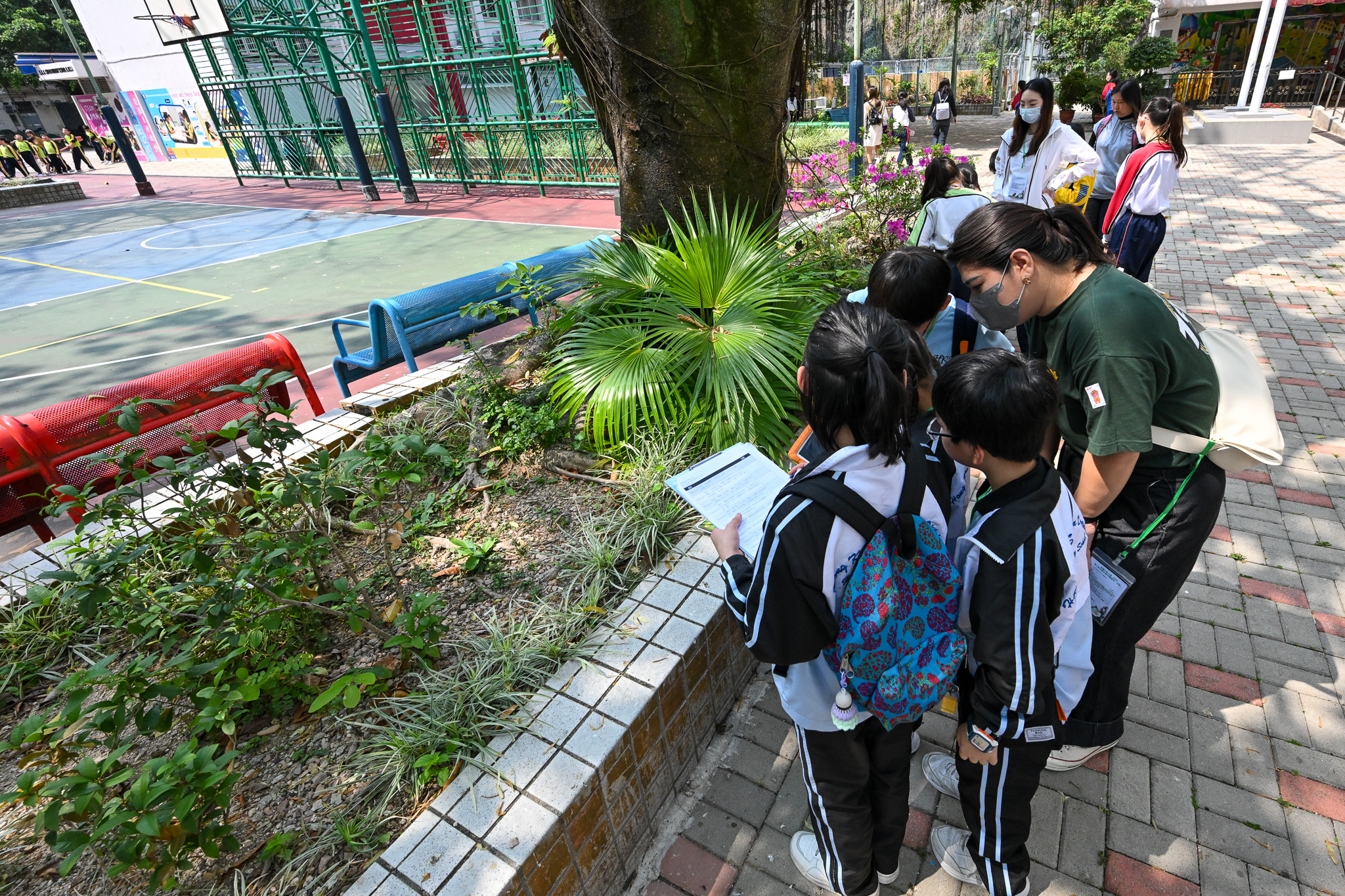 沒想到花槽是學習辨認植物的好地方吧？參賽師生把握機會應用工作坊所學的辨認技巧。