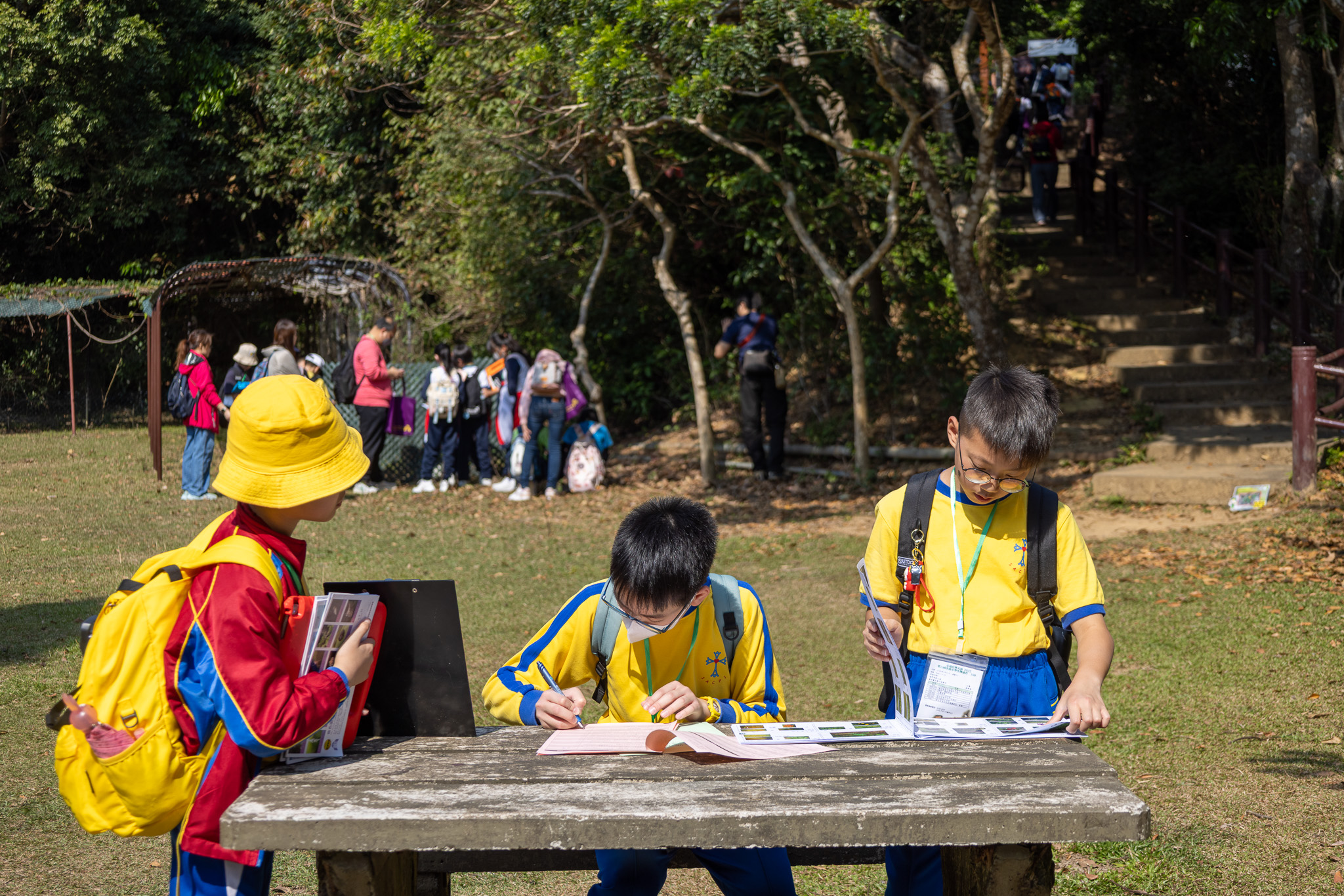 參賽學生認真投入，務求正確辨認出目標植物。